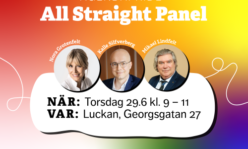 Omslagsbild för evenemanget All Straight Panel
