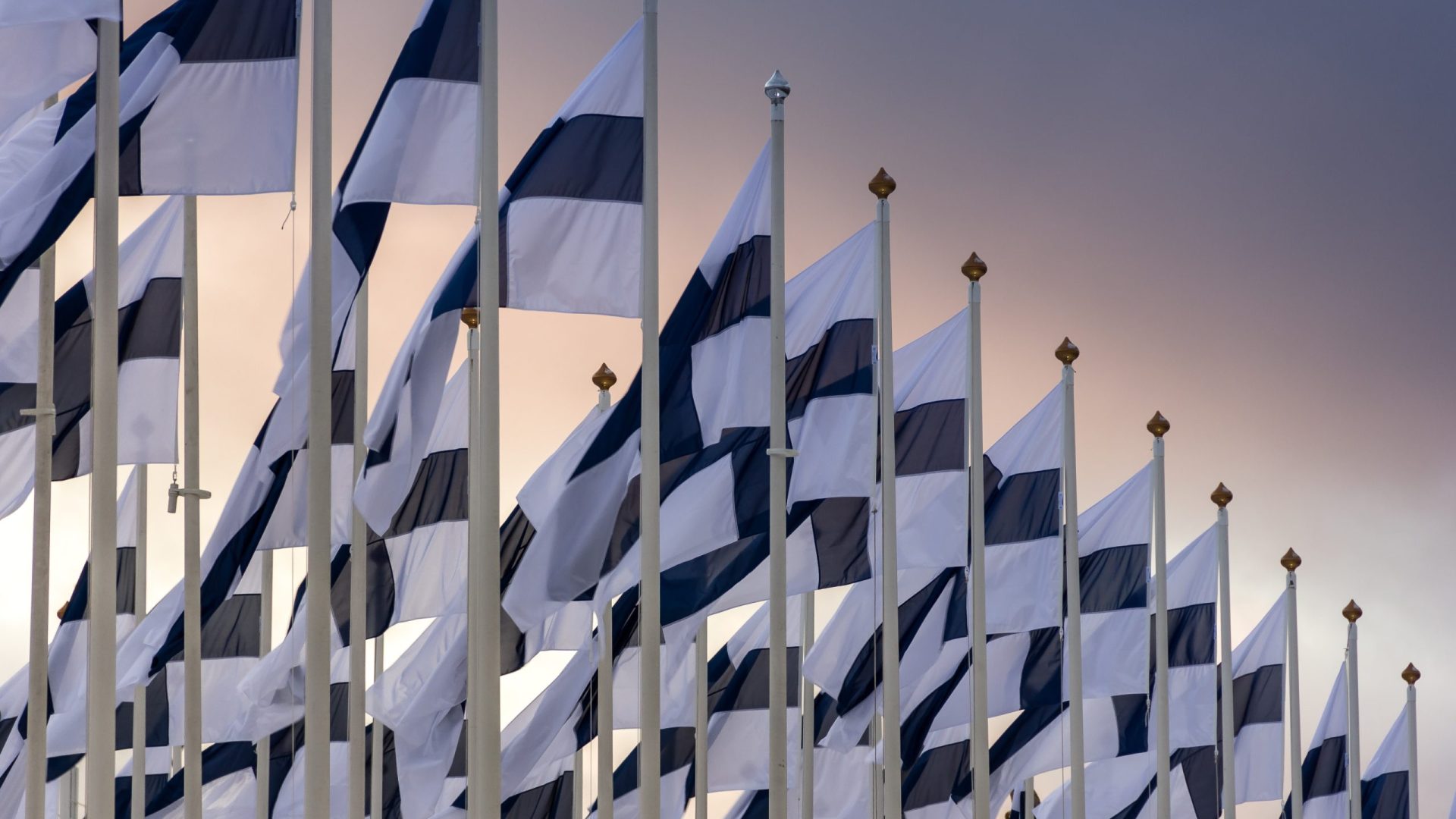 Finländska flaggor i rad
